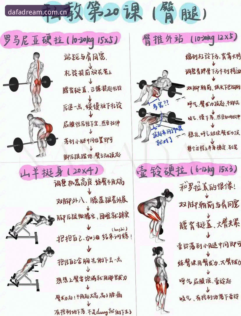 大发怎么样 新手必看!大发体育平台实用入门指南与核心技巧